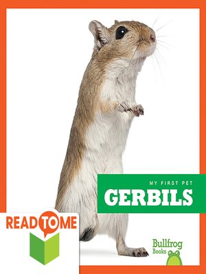 cover image of Gerbils